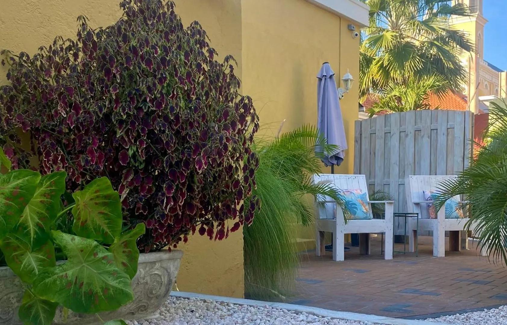 Historic Building The Palm Backyard Studio-Apartment Willemstad, Curacao Feel Home Away From Home 0*, يلمستاد كوراساو